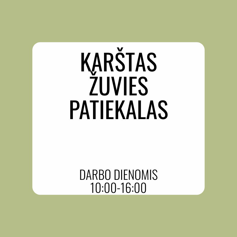 DP Traški menkė su baklažanais